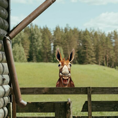 NEXT INNOVATIONS Peeking Smiling Donkey 101156002